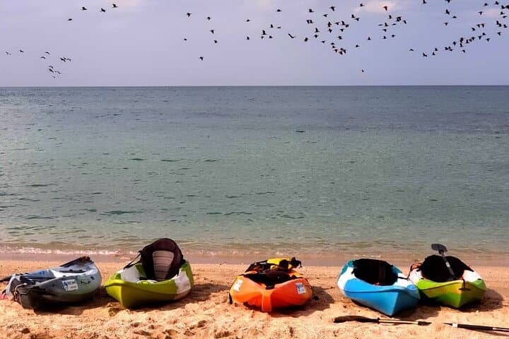 Kayak Guided Tour: Sunset in Qurum, Muscat photo 4