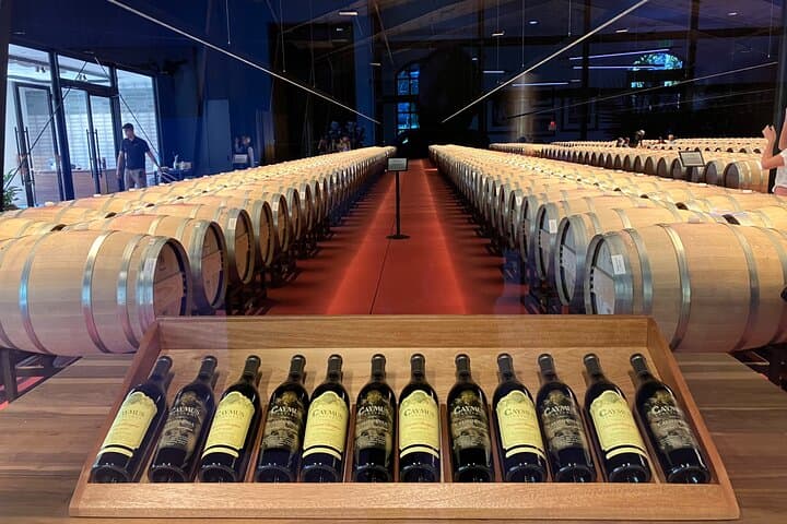 Best Private Wine Tours of Napa Valley-Sonoma for up to 8 people photo 2