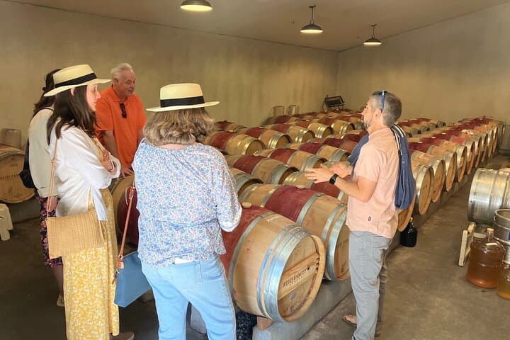 Best Private Wine Tours of Napa Valley-Sonoma for up to 8 people photo 4
