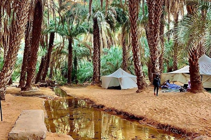 Adrar & Banc d'Arguin 10-Day Tour