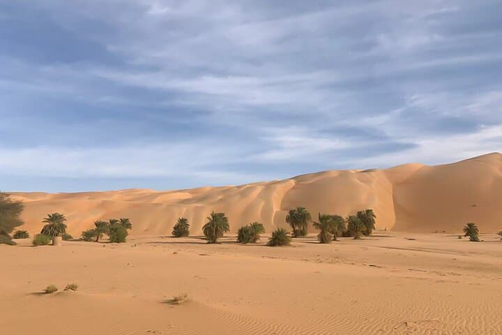 Adrar & Banc d'Arguin 10-Day Tour photo 2