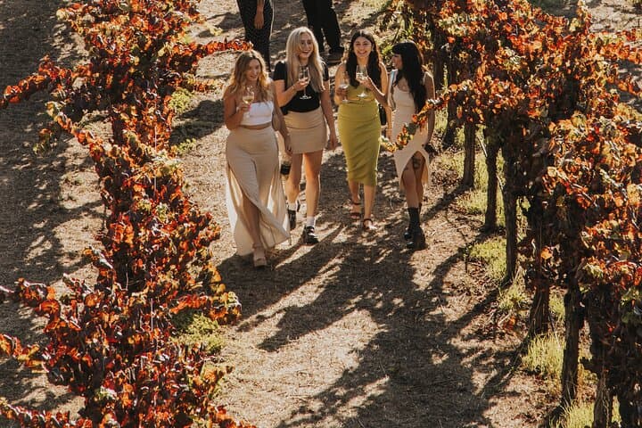 Small Group: Ultimate Napa & Sonoma Wine Tour from San Francisco photo 5