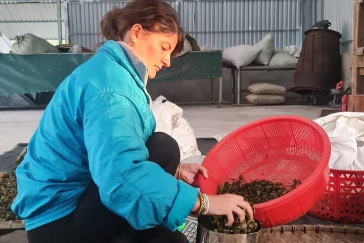 2 days Ancient Tea Tour and Real Homestay West of Ha Giang