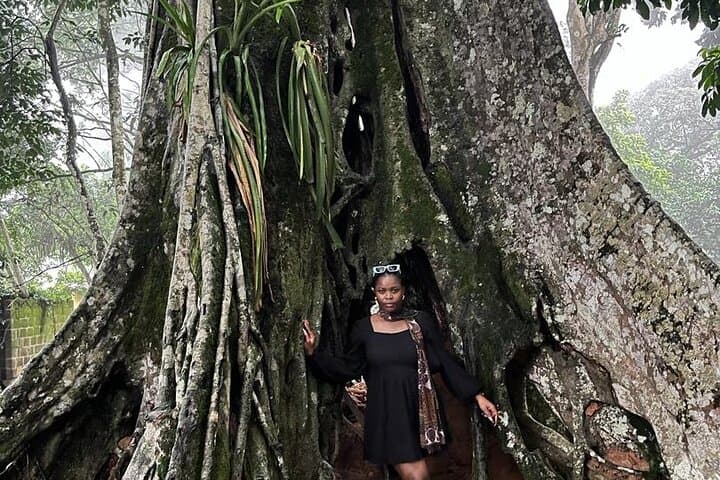 Full Day Tour Waterfalls Quad biking and Aburi Botanical Gardens photo 5