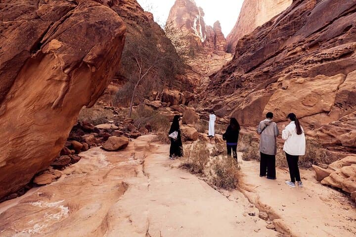 Discover Remarkable Tombs in Dadan and Jabal Ikmah photo 3