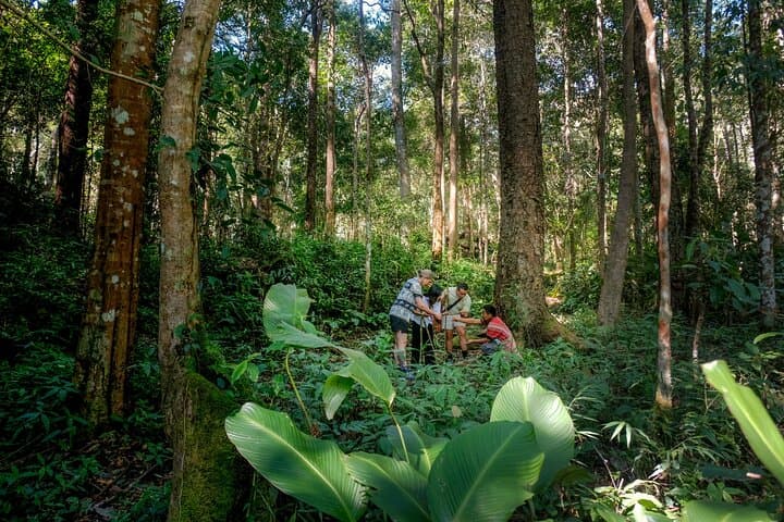 Chiang Mai 4WD Hilltribe Coffee: Jungle Trek, Roast & Brew. photo 5