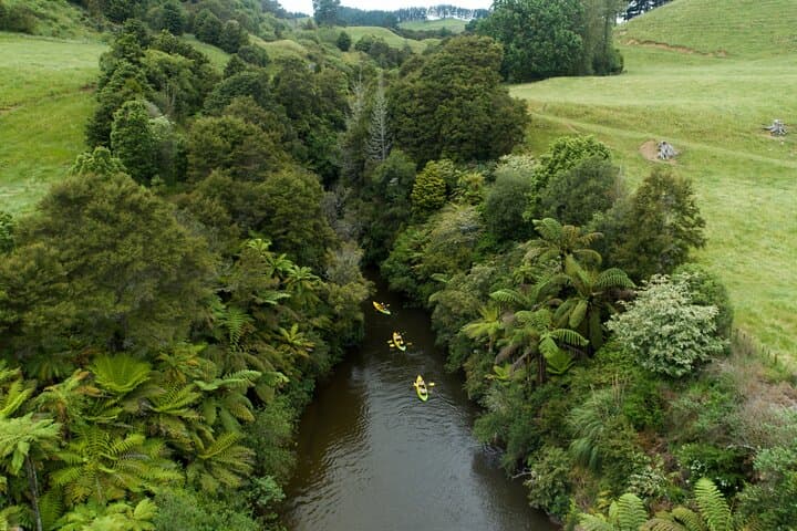 Daytime Canyon Kayak Tour photo 3