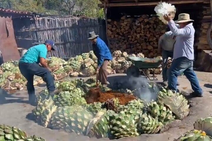 Experience the Mezcal Tour in Oaxaca photo 3