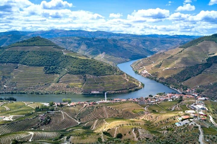 Private Douro Valley Tour: Boutique Winery & River Cruise