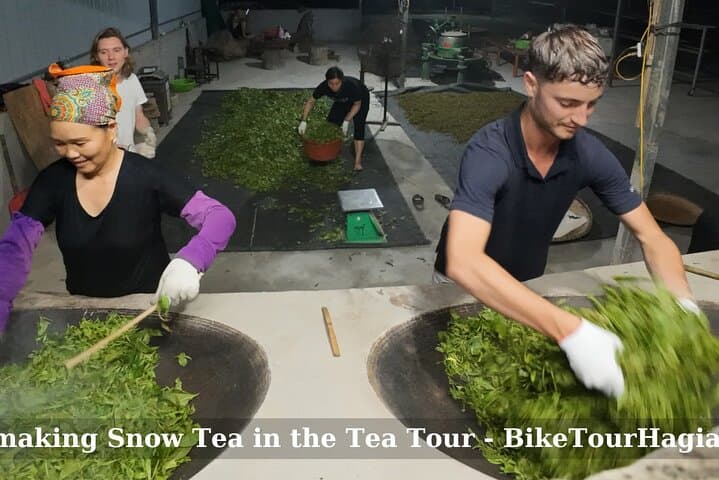 2 days Ancient Tea Tour and Real Homestay West of Ha Giang photo 2