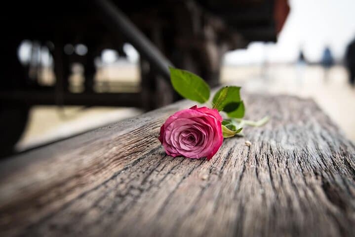 Private Guided Tour to Auschwitz & Birkenau from Krakow photo 3