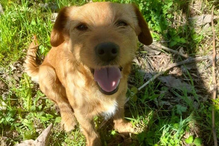 Private Wine Tasting Tour in Klimestani photo 4