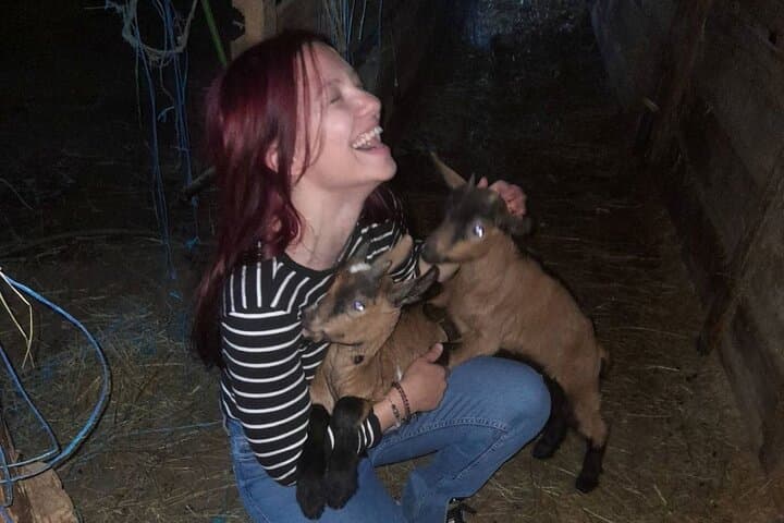 Private Wine Tasting Tour in Klimestani photo 5