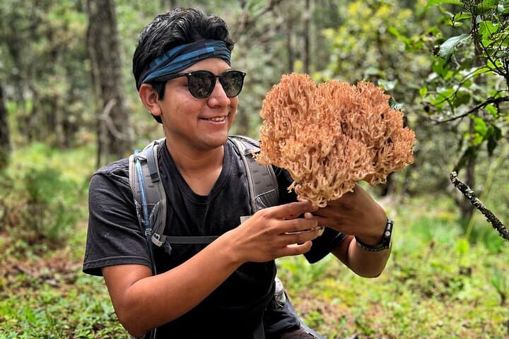 Hiking in the Sierra Norte of Oaxaca photo 3