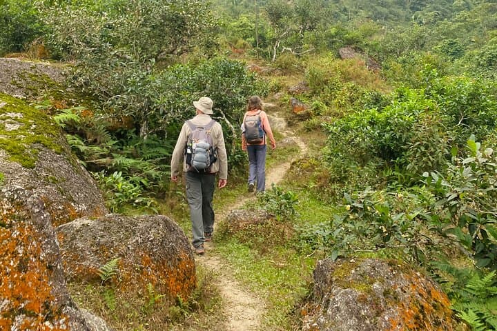 1 Day Trekking Tour in Ha Giang with Local Experts photo 2