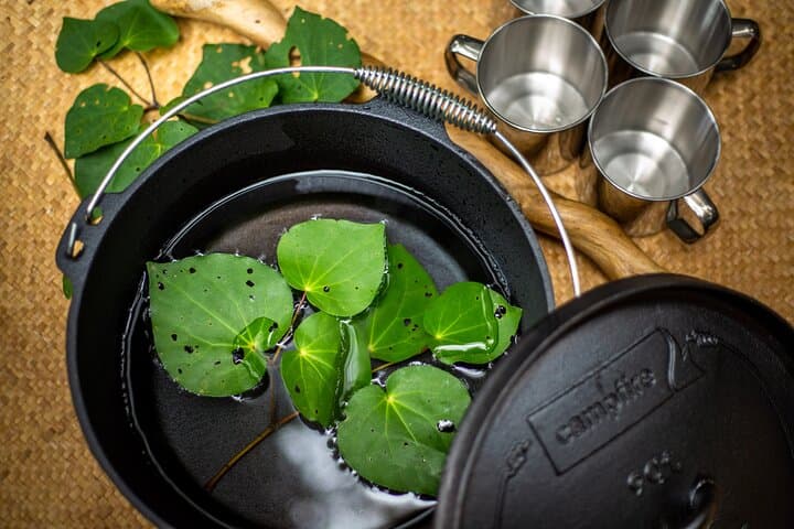 Whirinaki Forest Footsteps: Māori Guided Tour, Picnic & Transfer photo 3