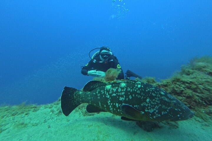 Scuba Diving in Lanzarote (for certified divers only) photo 2