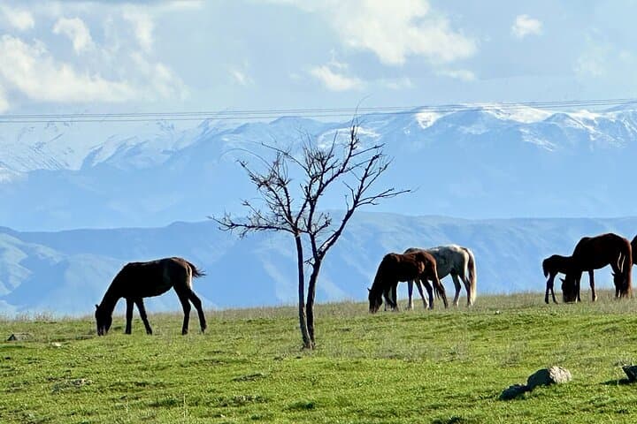 Ancient petroglyphs of Tanbaly - UNESCO World Heritage photo 3