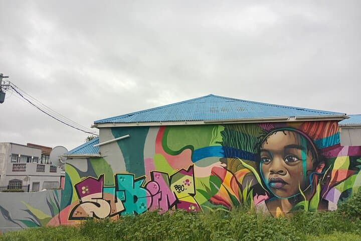 Woodstock and Salt River Street Art Walking Tour photo 5