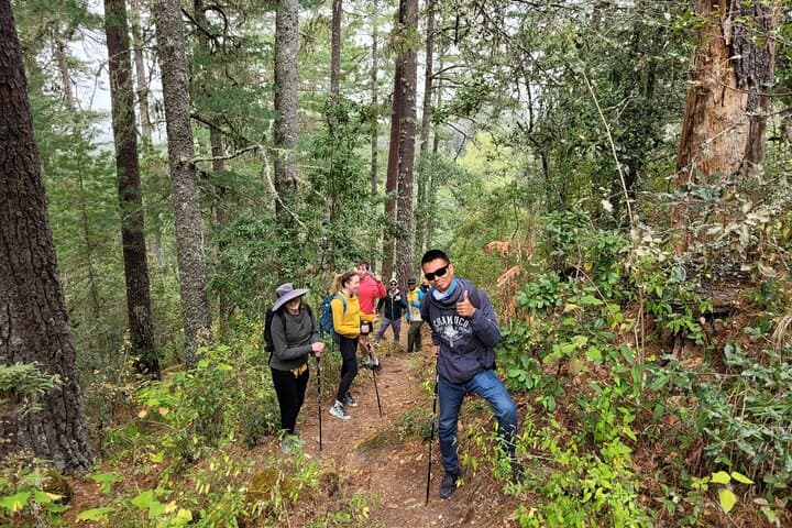 Sierra Norte Hike and Indigenous Village Full-Day Adventure photo 5