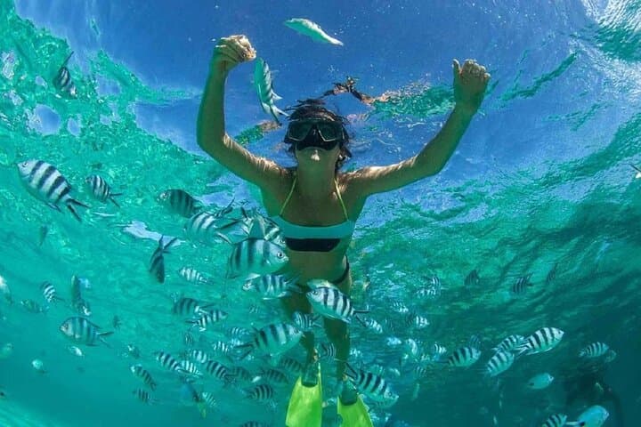 Muscat Omani Dhow Cruise and Snorkeling Tour photo 2