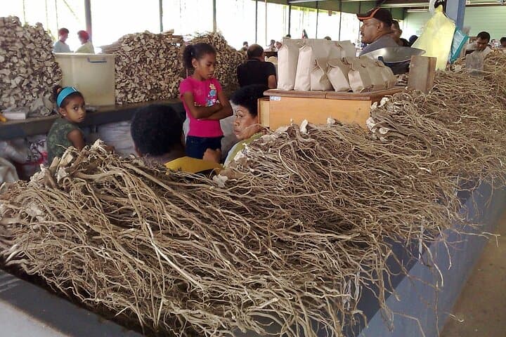 Kava Factory Tour and Flavored Kava Tasting Experience