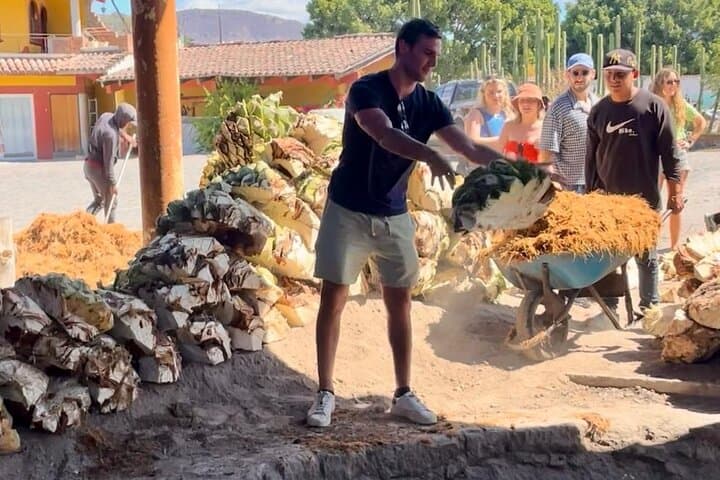 Tradicional Mezcal Experience in Oaxaca-Visit a Family Distillery photo 3