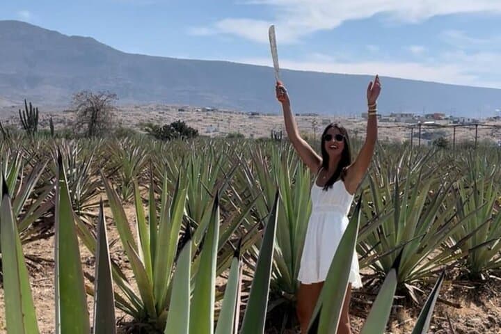 Tradicional Mezcal Experience in Oaxaca-Visit a Family Distillery photo 4