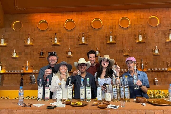 Tradicional Mezcal Experience in Oaxaca-Visit a Family Distillery photo 5