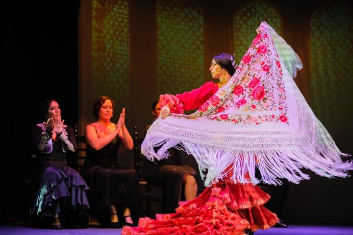 Teatro Flamenco Granada: The Heart of Flamenco at the Alhambra